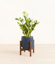 Load image into Gallery viewer, Deep Navy stand:walnut
