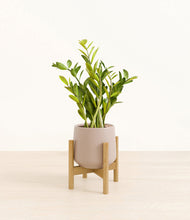 Load image into Gallery viewer, Eternal Gray stand:bamboo
