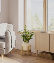 Load image into Gallery viewer, Olive stand:bamboo
