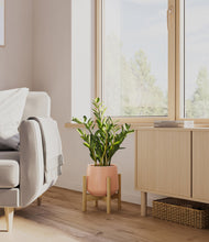 Load image into Gallery viewer, Calm Rose stand:bamboo
