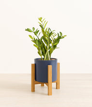 Load image into Gallery viewer, Deep Navy stand:light
