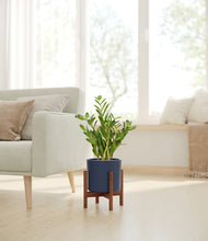 Load image into Gallery viewer, Deep Navy stand:walnut
