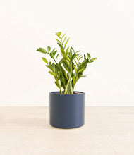 Load image into Gallery viewer, Deep Navy*****Profile
