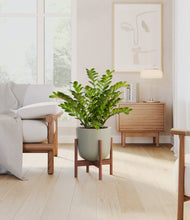 Load image into Gallery viewer, Sage Green stand:walnut
