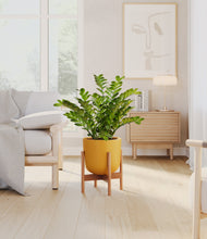 Load image into Gallery viewer, Sunset Orange stand:bamboo
