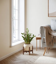 Load image into Gallery viewer, Shiny EggWhite stand:walnut
