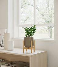 Load image into Gallery viewer, ZZ Plant
