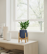 Load image into Gallery viewer, ZZ Plant
