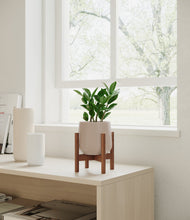 Load image into Gallery viewer, ZZ Plant
