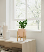 Load image into Gallery viewer, ZZ Plant
