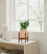 Load image into Gallery viewer, ZZ Plant
