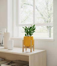 Load image into Gallery viewer, ZZ Plant
