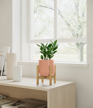 Load image into Gallery viewer, ZZ Plant
