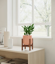 Load image into Gallery viewer, ZZ Plant
