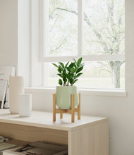 Load image into Gallery viewer, ZZ Plant
