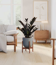 Lade das Bild in den Galerie-Viewer, Sage Green stand:dark
