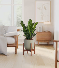 Load image into Gallery viewer, Sage Green stand:walnut
