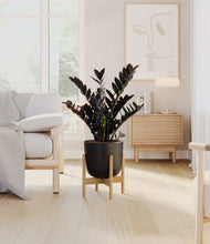 Lade das Bild in den Galerie-Viewer, Stone Black stand:light

