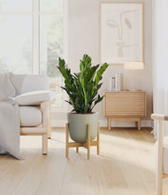 Load image into Gallery viewer, Sage Green stand:bamboo
