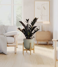 Lade das Bild in den Galerie-Viewer, Sage Green stand:light
