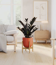 Lade das Bild in den Galerie-Viewer, Earth Red stand:light
