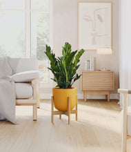 Load image into Gallery viewer, Sunset Orange stand:bamboo
