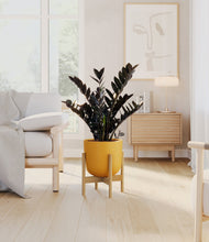 Lade das Bild in den Galerie-Viewer, Sunset Orange stand:light
