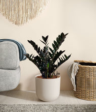 Lade das Bild in den Galerie-Viewer, Natural Bamboo

