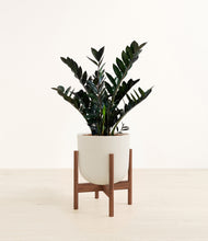 Lade das Bild in den Galerie-Viewer, Natural Bamboo stand:dark
