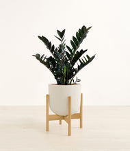 Lade das Bild in den Galerie-Viewer, Natural Bamboo stand:light
