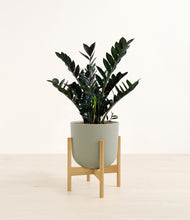 Lade das Bild in den Galerie-Viewer, Sage Green stand:light
