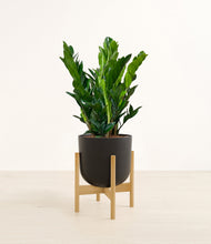 Load image into Gallery viewer, Stone Black stand:bamboo
