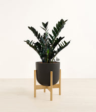 Lade das Bild in den Galerie-Viewer, Stone Black stand:light
