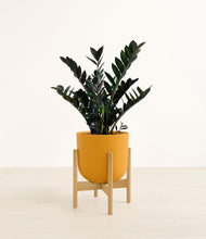 Lade das Bild in den Galerie-Viewer, Sunset Orange stand:light
