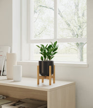 Load image into Gallery viewer, ZZ Plant
