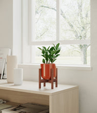 Load image into Gallery viewer, ZZ Plant

