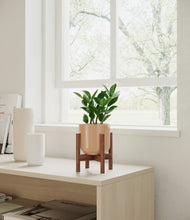 Load image into Gallery viewer, ZZ Plant
