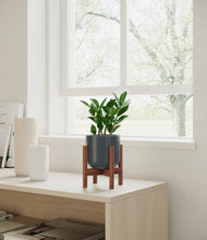 Load image into Gallery viewer, ZZ Plant
