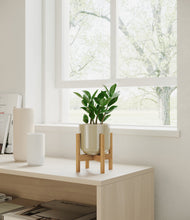 Load image into Gallery viewer, ZZ Plant
