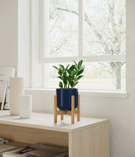 Load image into Gallery viewer, ZZ Plant
