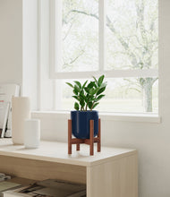 Load image into Gallery viewer, ZZ Plant
