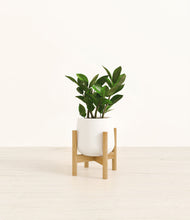 Load image into Gallery viewer, ZZ Plant
