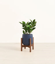 Load image into Gallery viewer, ZZ Plant

