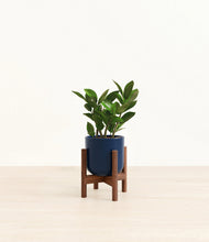 Load image into Gallery viewer, ZZ Plant
