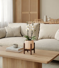 Load image into Gallery viewer, Gentle Pink stand:walnut
