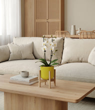 Load image into Gallery viewer, Key Lime Yellow stand:bamboo

