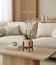 Load image into Gallery viewer, Sandy Pink stand:walnut
