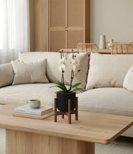 Load image into Gallery viewer, Stone Black stand:walnut
