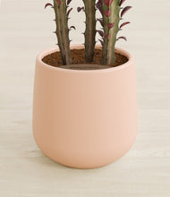 Lade das Bild in den Galerie-Viewer, Gentle Pink stand:all
