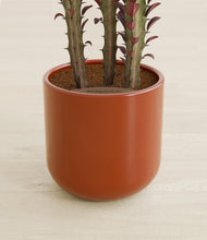 Lade das Bild in den Galerie-Viewer, Glossy Red stand:all
